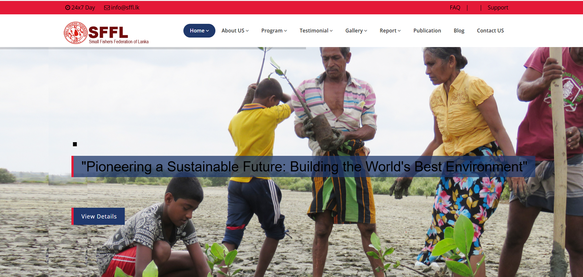 Web Studio Custom Services