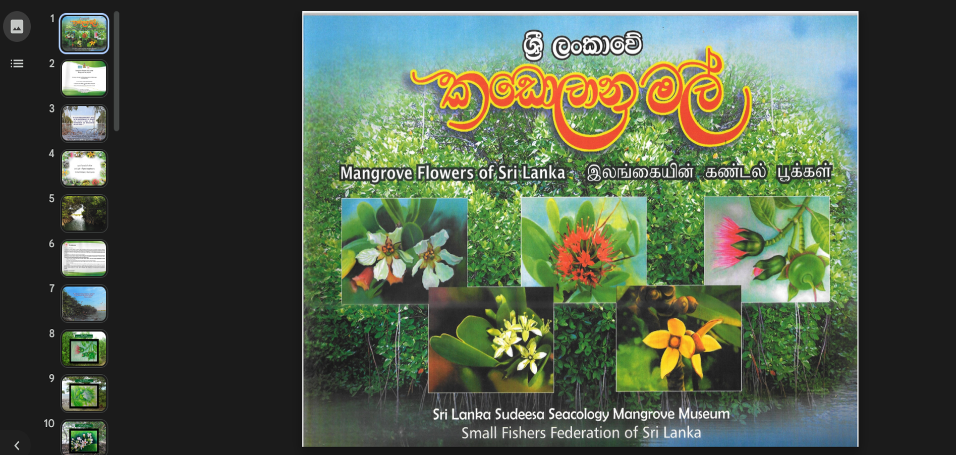 Web Studio Custom Services